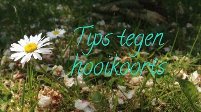 tips_tegen_hooikoorts_sugarframe